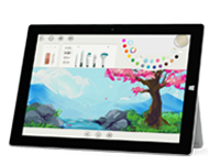穆棱Surface 无法开启、Windows 无法启动或电池无法充电